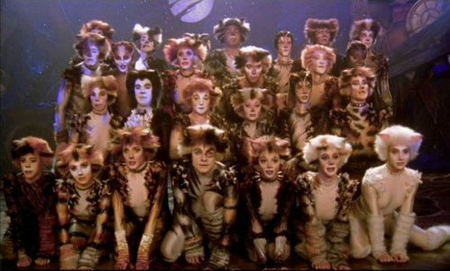 The cats prepare for 'The Naming of Cats'